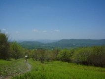 Canaan View