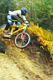dwn10005