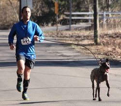 Webark 5K